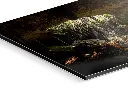 Productfoto_Mexico_7222_Dibond.webp