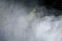 Meeuw bij de Skodafoss