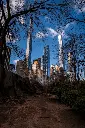 Central park